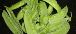 Tirabecs (estirabecs) bullits